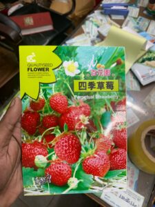 5f547d25-2a5e-4d24-8af3-67d72beab3f0