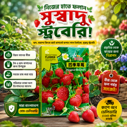 ১ পাকেট স্ট্রবেরি বীজ